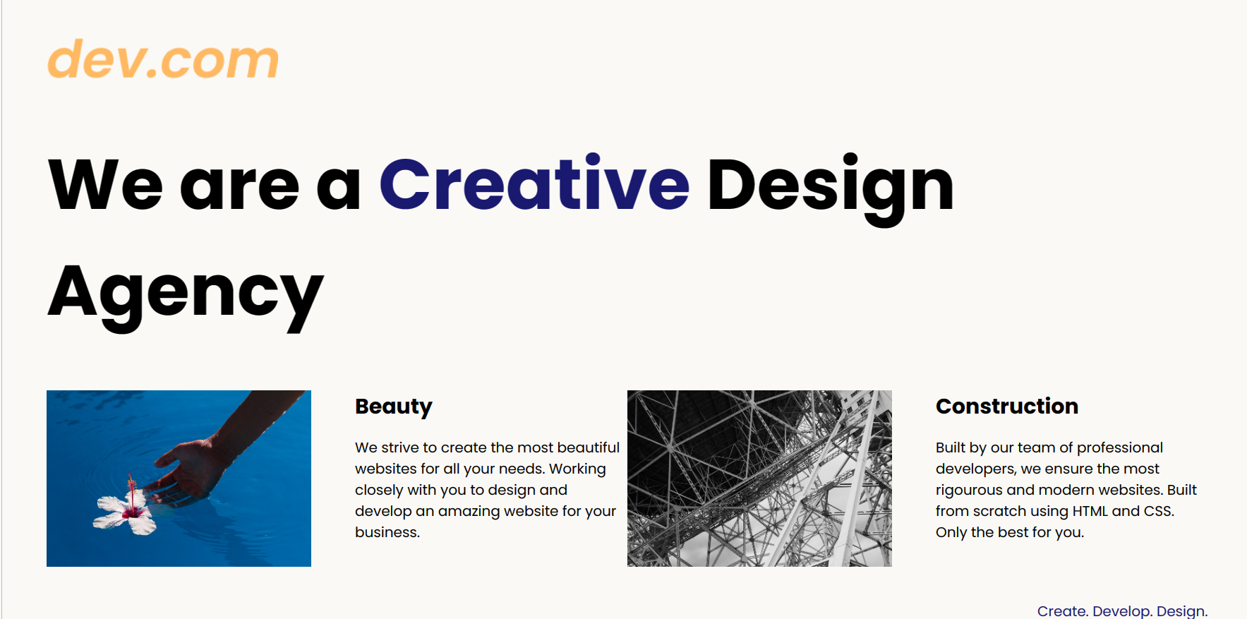 agency-project picture 