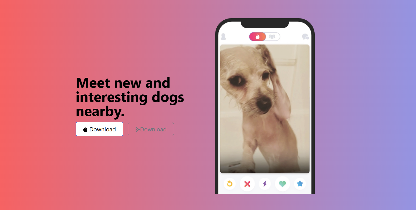 agency-project picture 